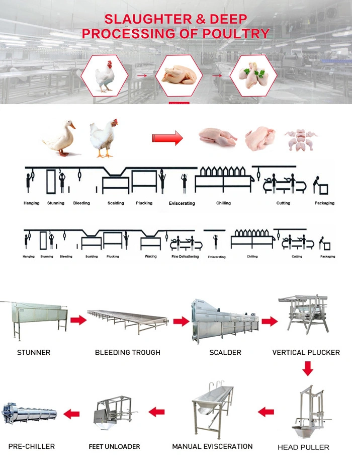 Hot Selling Chicken Slaughter Abattoir Equipment Skin Conveying for Chicken Slaughterhouse Plant