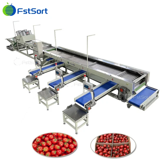 Obstverarbeitungstechnologie Sortiermaschine für Kirschtomaten Süßkartoffeln Longan-Klassifizierung Kalkklassifizierung Zitronenverarbeitungsausrüstung